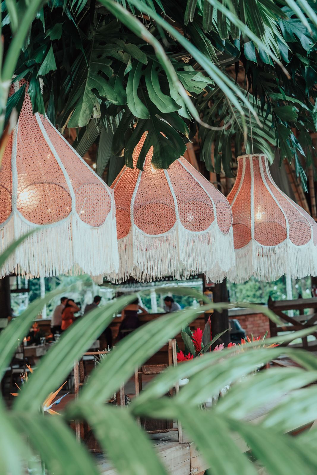 Lámparas de macramé rosadas entre hojas de monstera